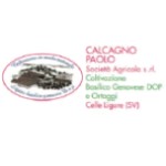 CALCAGNO