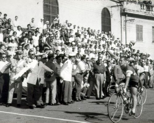 Daems 1960