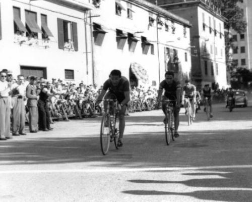 Albani 1954