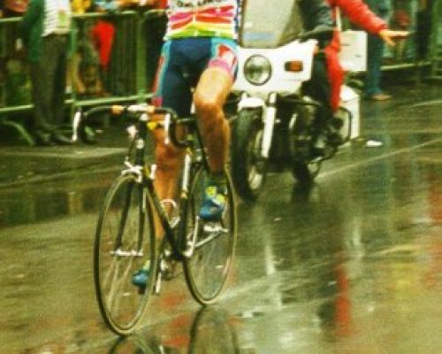 Calcaterra 1993