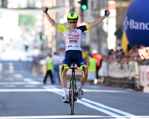 Meintjes 2022