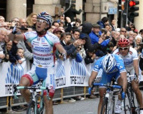 Felline 2012 