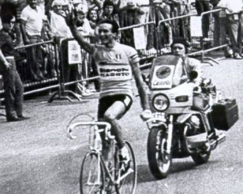 Baronchelli 1981