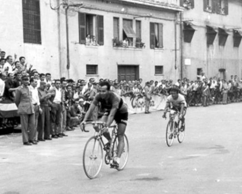 Maule 1958