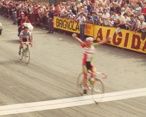 Beccia 1984