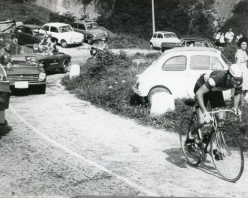 Dancelli 1966