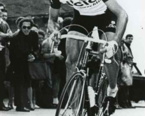 Baronchelli 1978