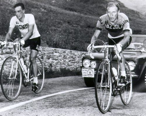 Cribiori 1964