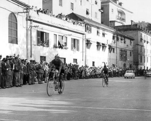 Maule 1956